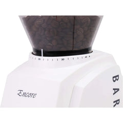 Everyday Coffee Grinder for Your Kitchen